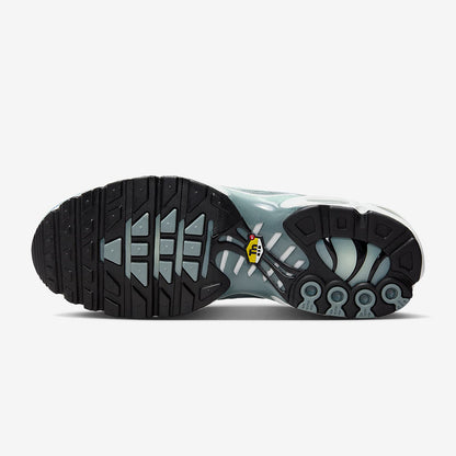 Nike Air Max Plus 'Origins Waterway' FV0394-300