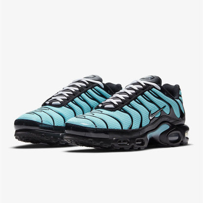 Nike Air Max Plus 'Aqua Silver'