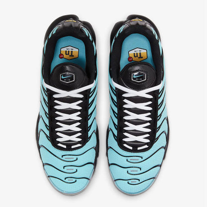Nike Air Max Plus 'Aqua Silver'