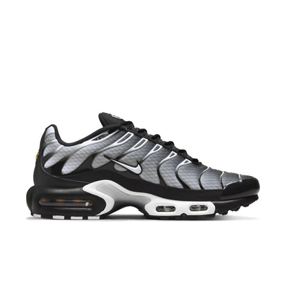 Nike Air Max Plus 'Black/Silver'